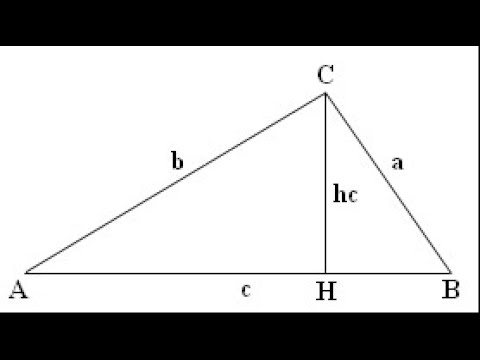 Видео: Питагорова теорема - Математика за 6 клас