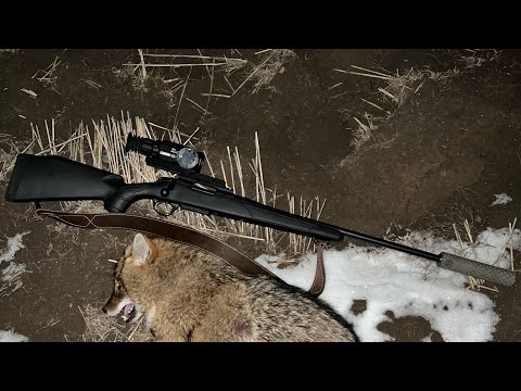 Видео: Краткий обзор охотничьей винтовки Bergara B-14 Sporter, .308win