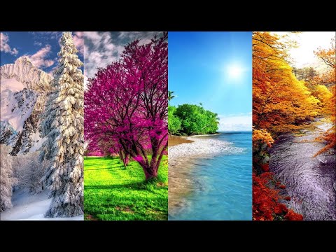 Видео: Сборник - Времена года. Музыка Сергея Чекалина. Seasons. Music by Sergey Chekalin.