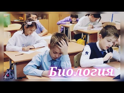 Видео: Будни учителя. Проверочная работа по биологии