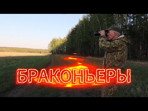 Видео: БРАКОНЬЕРЫ