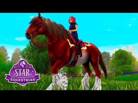 Видео: Мой первый КЛАЙД! Прохождение ивента и открытие сундуков ЧЕМПИОНА 🌺 Star Equestrian