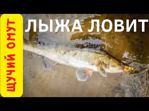 Видео: ЛОВЛЯ СУДАКА ПОЛ ЧАСА РЫБАЛКИ КУЧА ПОКЛЕВОК НА ЛЫЖУ ЖЕЛЕЗО