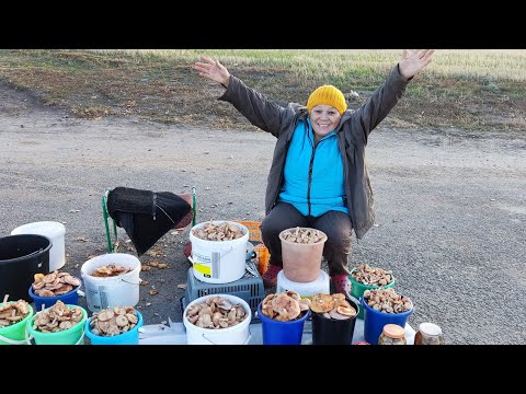 Видео: Торговля на трассе // и такое бывает - обиделся // гостинцы из Казани //