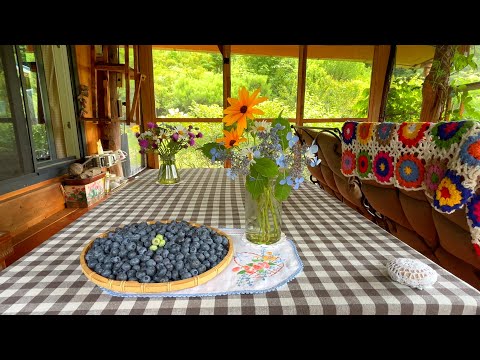 Видео: Сбор черники и Лох серебристый 🫐🍒 | Цветущие гортензии | Ночное рукоделие 🧵