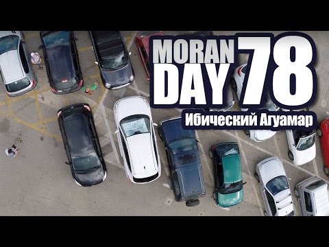 Видео: Moran Day 78 - Ибический Агуамар