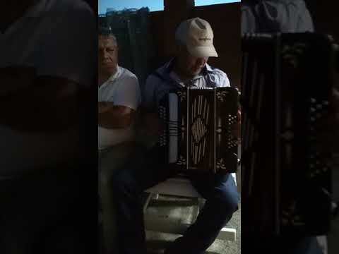 Видео: Интал жырлый.
