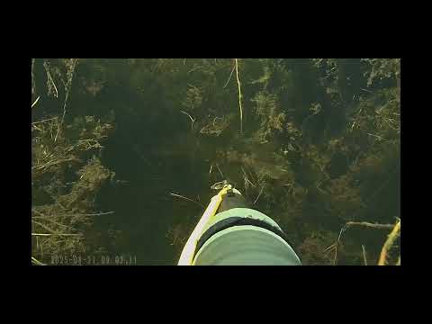 Видео: Подводная охота.