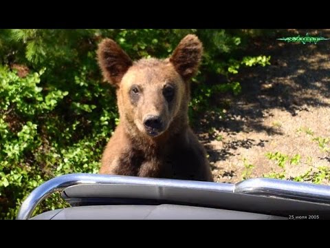 Видео: г.Оха, Сахалин 2005-2008 (Okha city, Sakhalin)