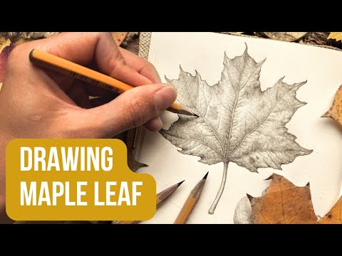Видео: 🔥 Вы не поверите, насколько ЛЕГКО нарисовать РЕАЛИСТИЧНЫЙ кленовый лист! 🍁 Урок по рисованию осен...