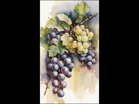 Видео: Виноград/Финиш