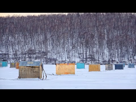 Видео: ВСЁ В РЫБЕ и ДОМАХ! РЫБАЛКА С НОЧЕВКОЙ НА ФАРУ, КИВОК-ПЕРО, ОШПАРИК!