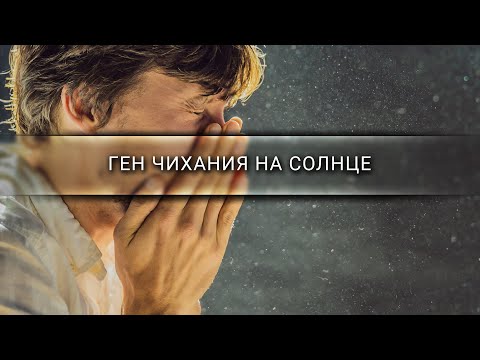 Видео: Ген чихания на солнце [Veritasium]