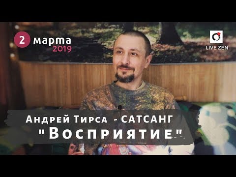 Видео: Андрей Тирса - Сатсанг (02.03.19) Пробуждение. Просветление.
