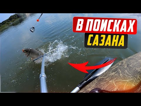 Видео: В поисках САЗАНА на реке Обь/ На острове с палаткой