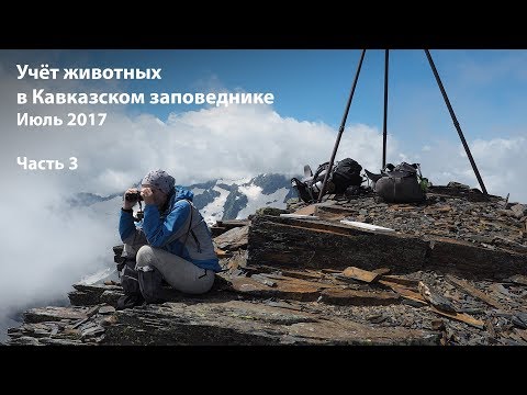 Видео: Учет животных в Кавказском заповеднике. Июль 2017. Часть 3.