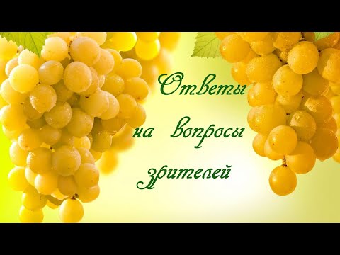 Видео: Ответы на вопросы зрителей