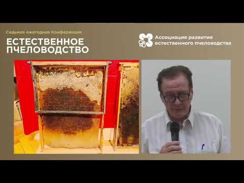 Видео: "О преимущестах вертикальной и безразрывной технологии в пчеловождении" - 7 конференция ЕП-2020.
