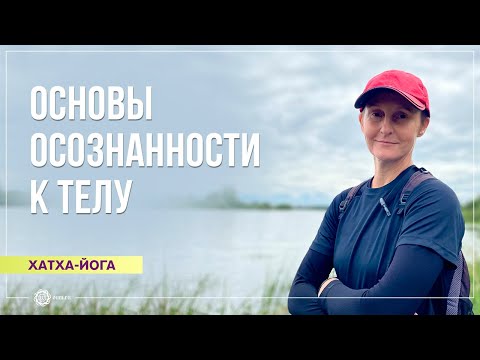Видео: Хатха-йога. Основы осознанности по отношению к телу. Елена Васильева