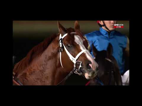 Видео: КОННЫЕ СКАЧКИ. DUBAI CUP CARNIVAL 2025 Кабирхан