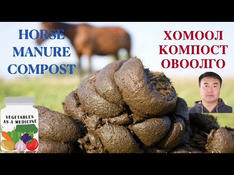 Видео: ХОМООЛООР КОМПОСТ ХЭРХЭН ХИЙХ ВЭ? HORSE MANURE COMPOST MAKING