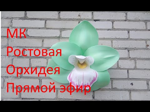 Видео: Мастер класс Орхидея Цимбидиум Прямой Эфир