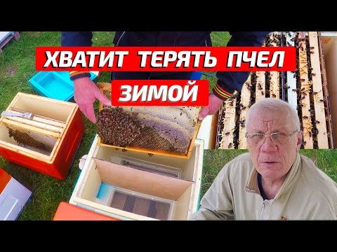 Видео: Как спасти слабую пчелиную семью? Лучшая Вентиляция в ульях зимой!