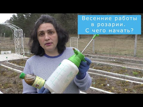 Видео: Повышаем плодородие почвы  Обрабатываем розы от болезней  Весна 2021