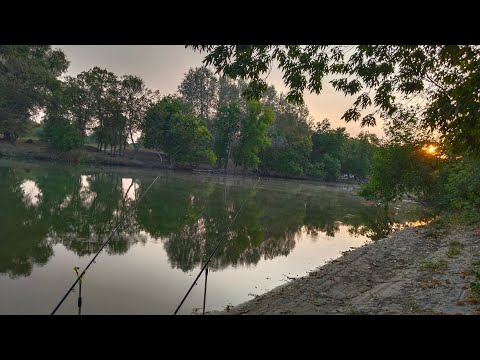 Видео: ОСЕННЯЯ РЫБАЛКА НА ТЕПЛОМ КАНАЛЕ НОВОЧЕРКАССКОЙ ГРЭС!!! РЫБАЛКА НА ФИДЕРА ОСЕНЬЮ 2023!!!