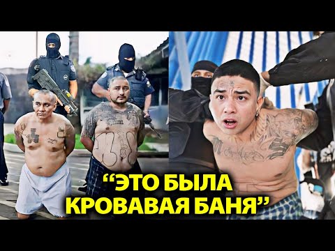 Видео: То, как Сальвадор уничтожил Жестокие Банды, Меняет Всё!