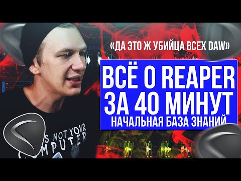 Видео: РАБОТА В REAPER С НУЛЯ. САМОЕ ВАЖНОЕ. Основная база знаний для работы | Reaper |