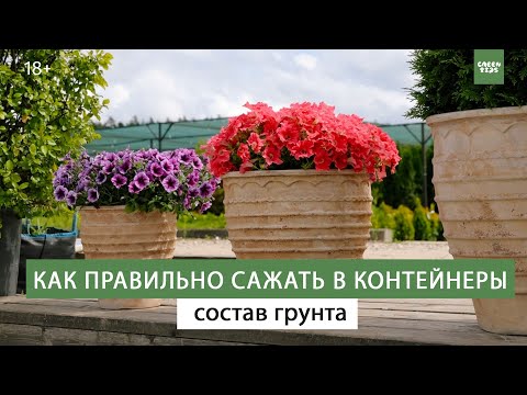Видео: Цветы - посадка в кашпо. Контейнерное озеленение в ландшафтном дизайне