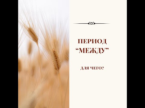 Видео: Период "МЕЖДУ". Для чего?