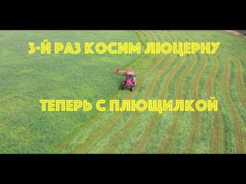 Видео: 3-й раз косим люцерну с плющилкой