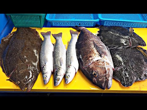 Видео: Я совершил большую ошибку при предварительной обработке рыбы.  О, Боже мой.