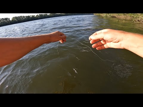 Видео: РЫБАЛКА НА ЗАКИДУШКИ !!! ГДЕ ИСКАТЬ КАРПА ПРИ ВЫСОКОЙ ВОДЕ !! РЕКА ДНЕСТР