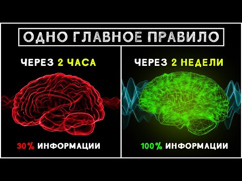 Видео: Как быстро и легко запомнить любую информацию! 5 простых способов учиться быстрее и эффективнее!