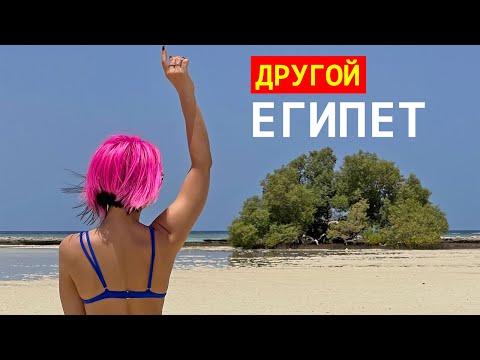 Видео: ЕГИПЕТ. Марса-Алам - лучшие пляжи и море! Отели Malikia Resort и Deep Blue Inn