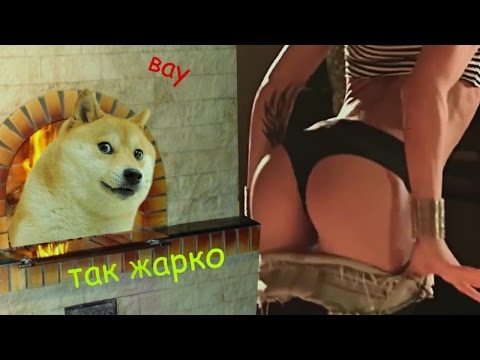 Видео: БУЛКИ НИЧО (ПОСЛЫШАЛОСЬ)