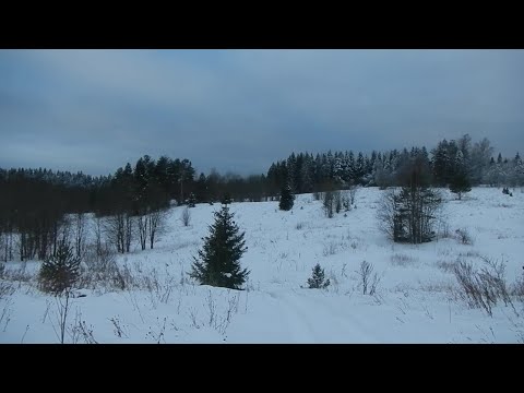 Видео: Движение по насту