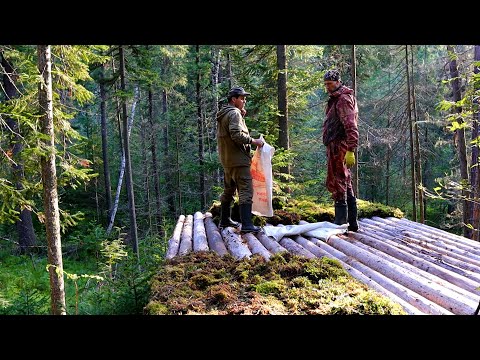 Видео: Строим избу. Мох на крышу.