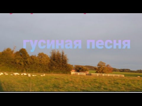 Видео: ЖИВУ В ГЕРМАНИИ ❤ Я ЛЮБИТЕЛЬ ОГРОМНЫХ ЗАКУПОК 👜 МУСОРОВОЗ