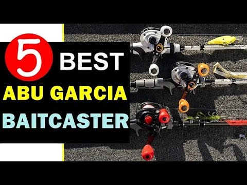 Видео: Лучший аквабайкастер Abu Garcia 2025 (ОБНОВЛЕНО) 🏆 Топ-5 лучших аквабайкастеров Abu Garcia