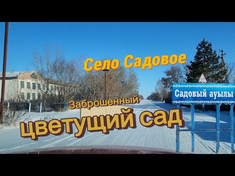 Видео: Село Садовое в 4к| Атбасарский район, Казахстан