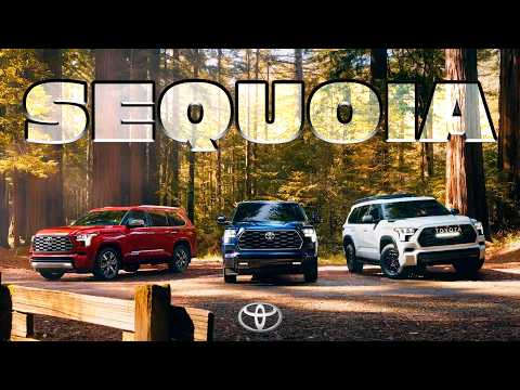 Видео: История Могучей СЕКВОЙИ