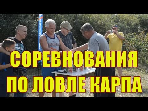 Видео: Соревнования по ловле карпа на пруду Заросший 7-9 сентября 2018.