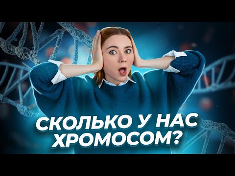 Видео: Все о хромосоме для ЕГЭ по биологии | Умскул