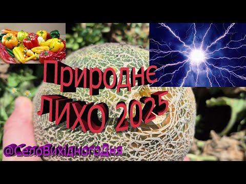 Видео: 99% людей від цього не врятуються
