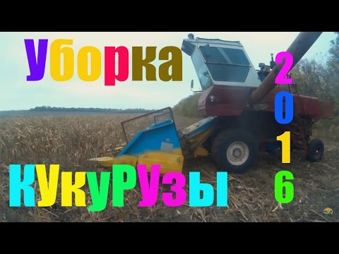 Видео: Нива СК-5 и Газ 3307 уборка кукурузы 2016  /Mowing of corn 2016 the NIVA СК- 5 and GAZ 3307
