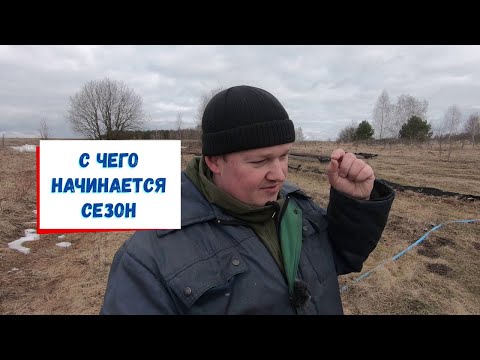 Видео: Первые работы на голубике